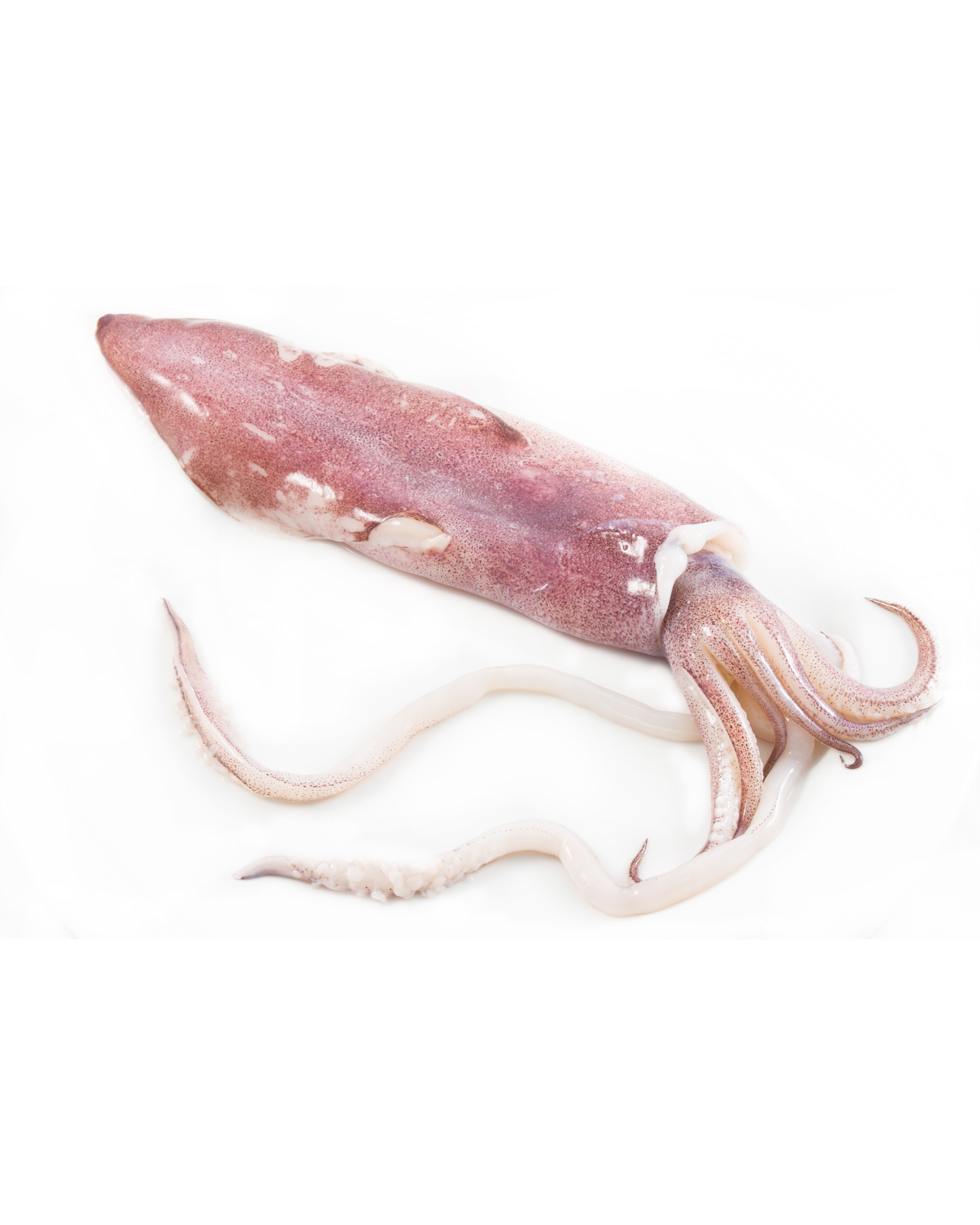 Frozen Whole Uncleaned Squid Size 1kg