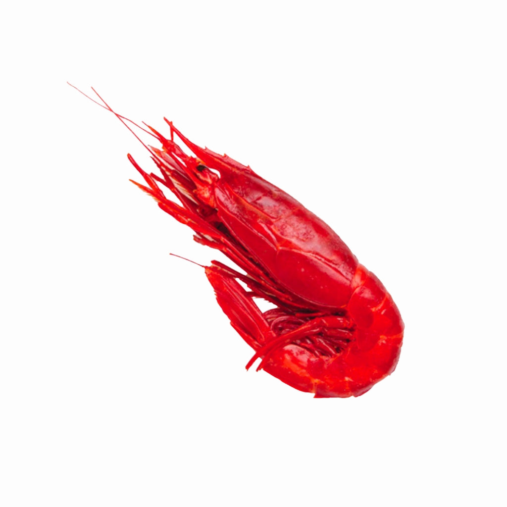 Carabineros size 5 (Frozen) 1 kg