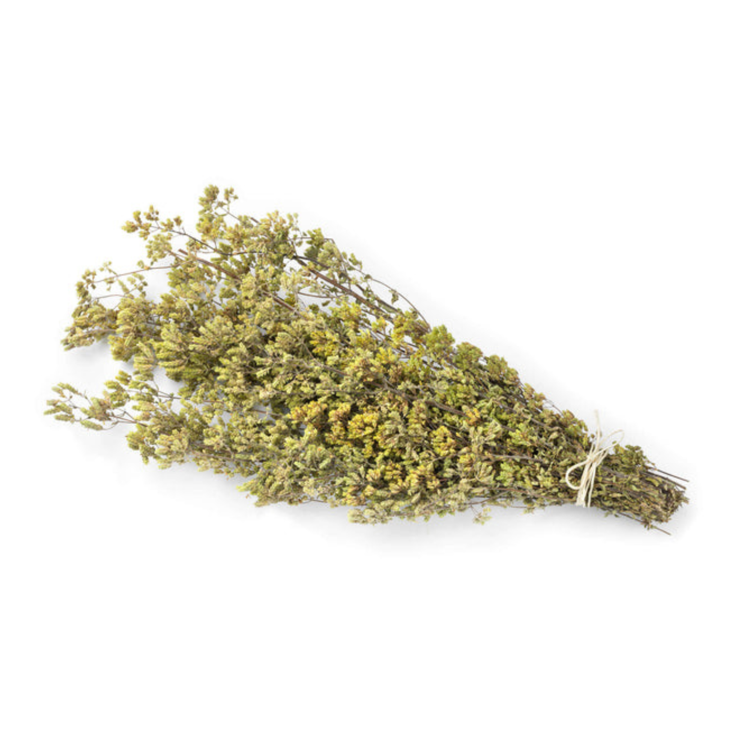 Oregano dried from Italy 40g