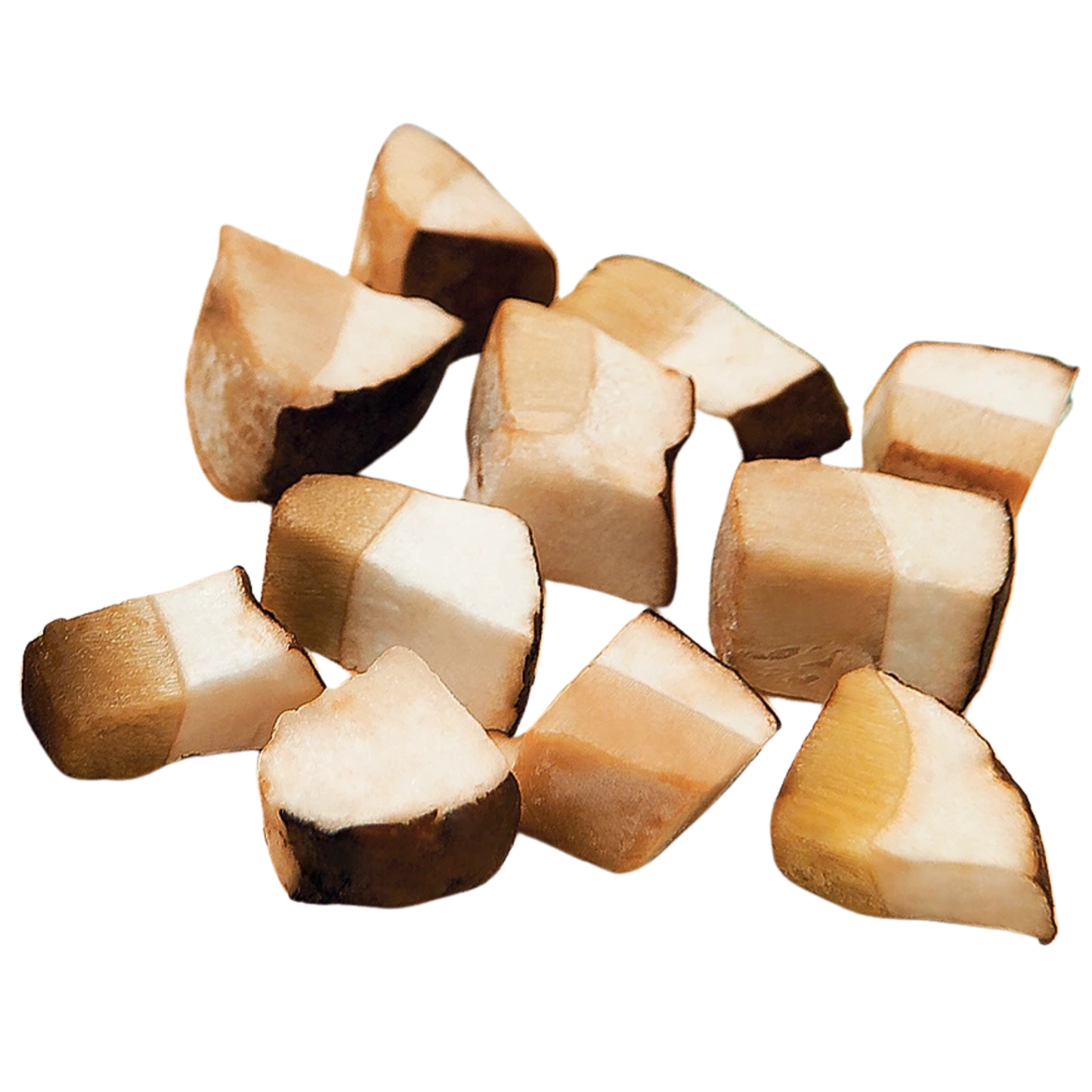 Frozen Cubes Porcini