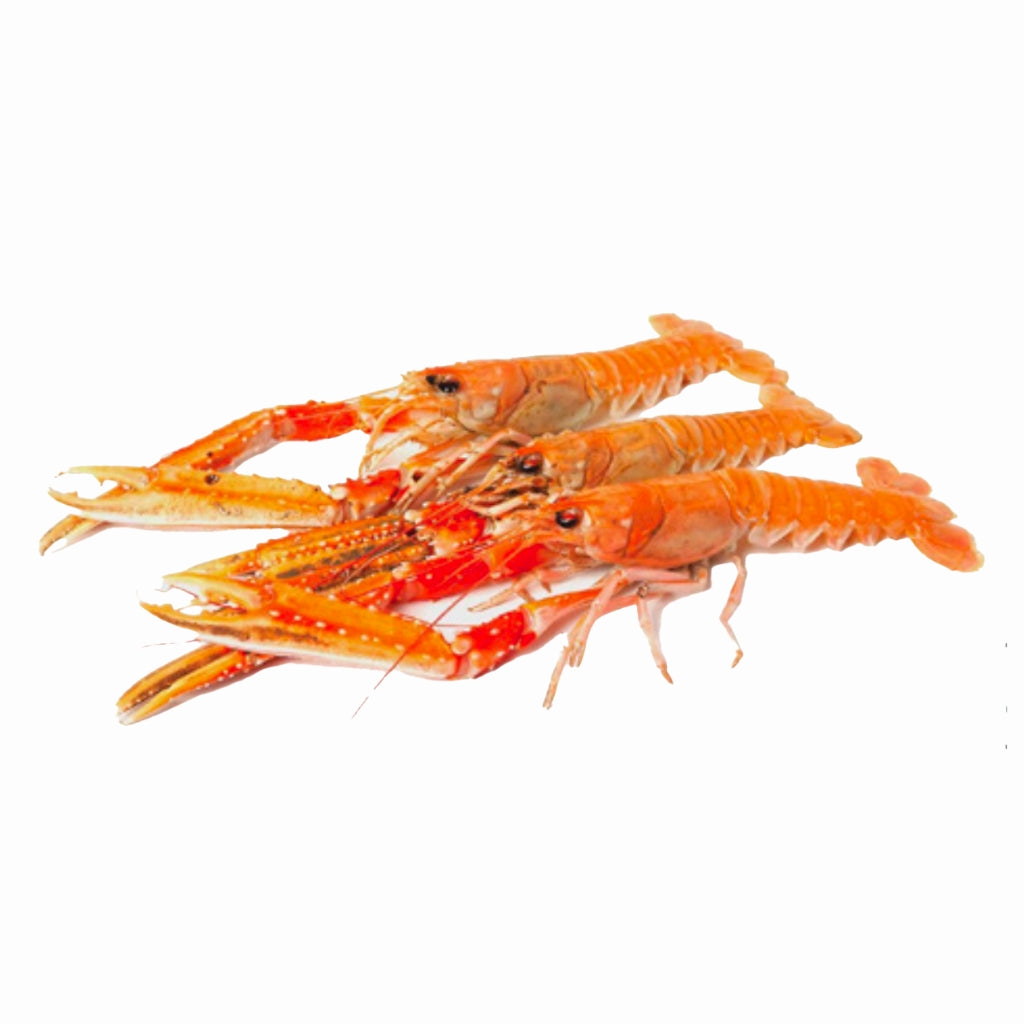 Frozen Langoustine 17/20 800g