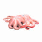 Frozen Octopus Whole 2–3kg