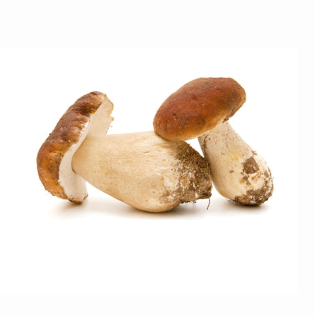 Frozen Whole Porcini