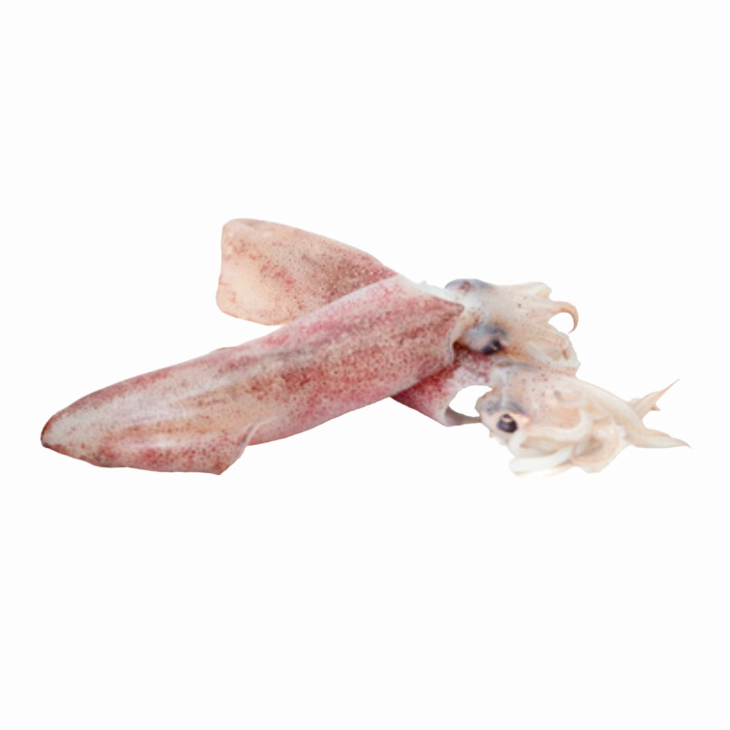 Frozen Whole Uncleaned Squid Size 1kg