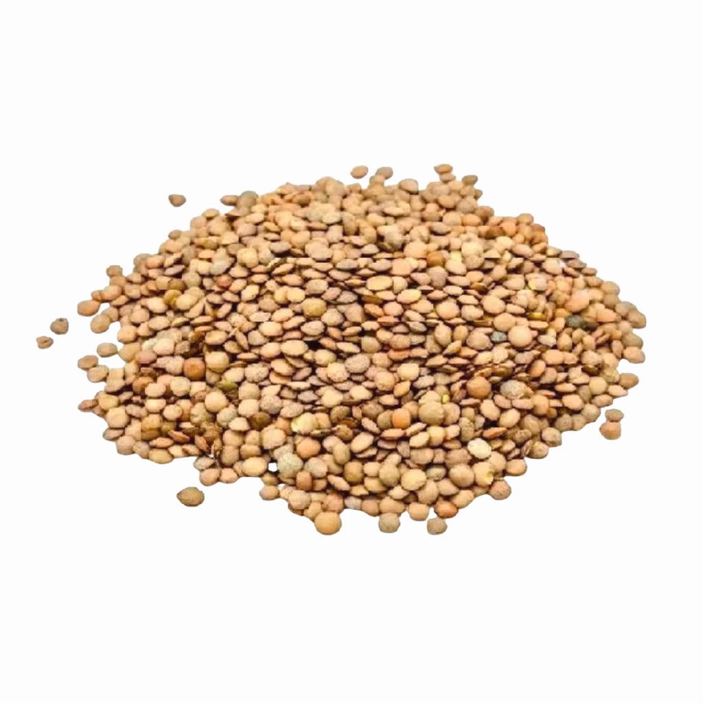 Lentils 500g