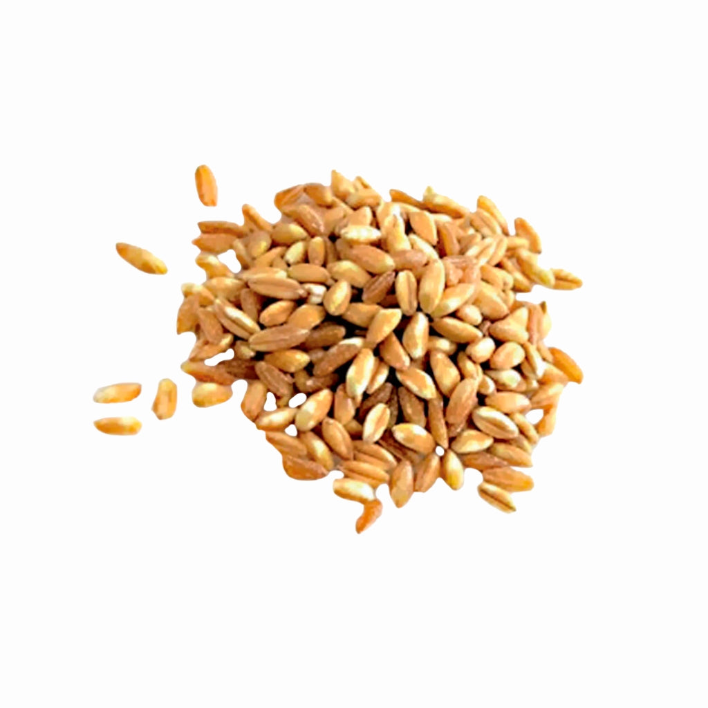Pearl Spelt 500g