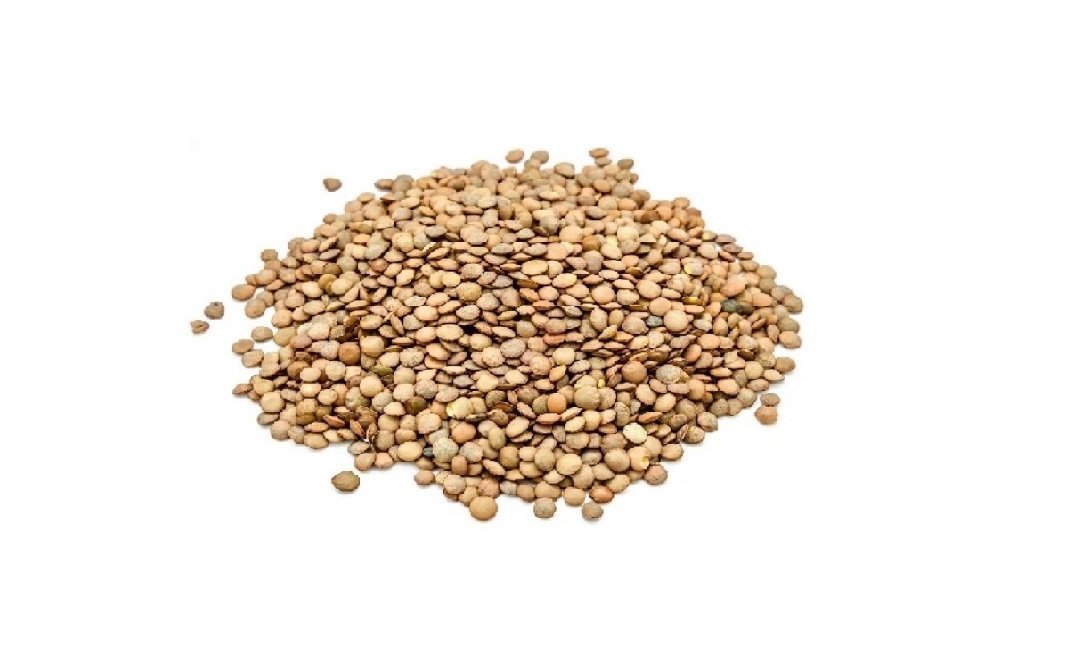 Lentils 500g