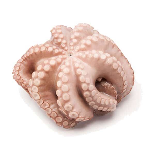 Frozen Octopus Approx. 2kg–3kg